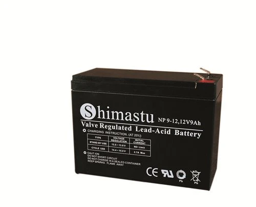 12V 9Ah Laetav aku