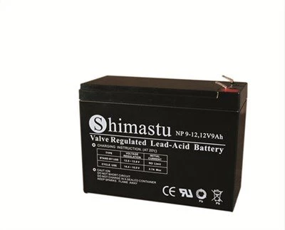 12V 9Ah Laetav aku