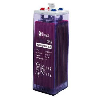 OPzS 1000 toruaku